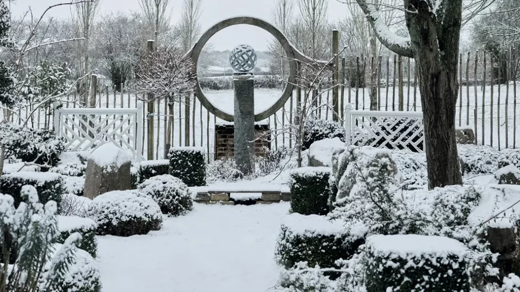Garden tasks for December: a guide