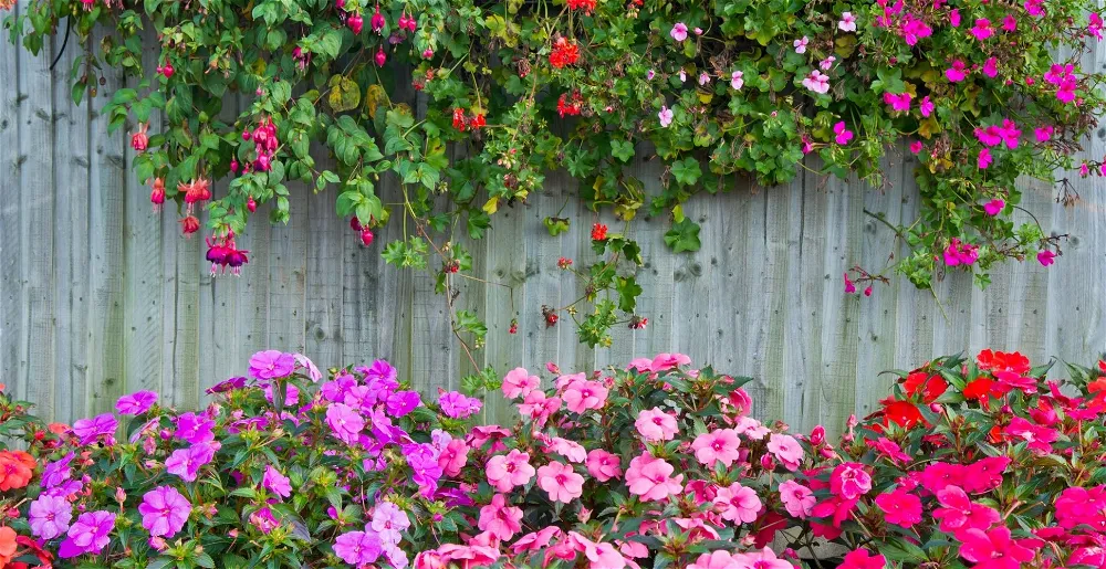 What Shade of Fence Paint Can Give Your Garden a More Spacious Appearance?