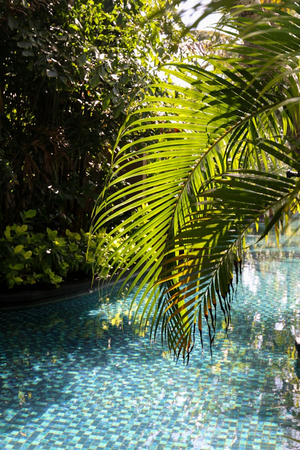 Beautiful garden swimming pool surrounded by greenery